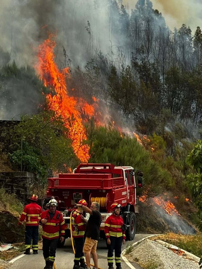 Advogados Voluntários Oferecem Apoio Jurídico Gratuito a Vítimas de Incêndios