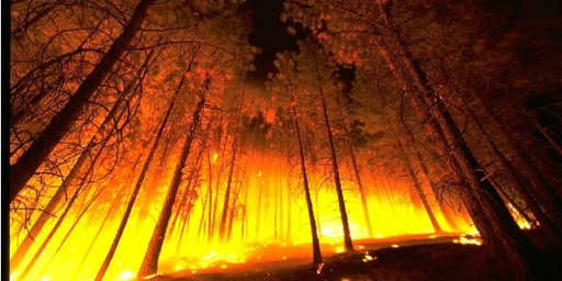 Governo prorroga prazos de obrigações fiscais em zonas afetadas por incêndios