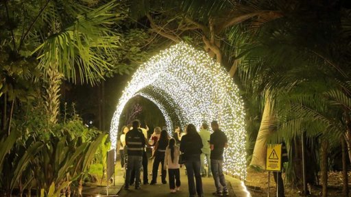 Culiacán se Prepara para la Temporada Navideña con la Verbena Popular y el Jardín Botánico