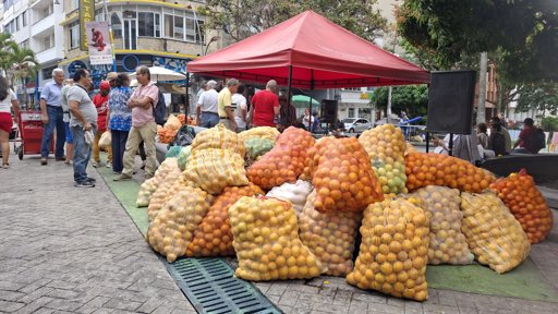 La Naranjatón 2.0 une a Ibagué en un acto de solidaridad con los agricultores locales