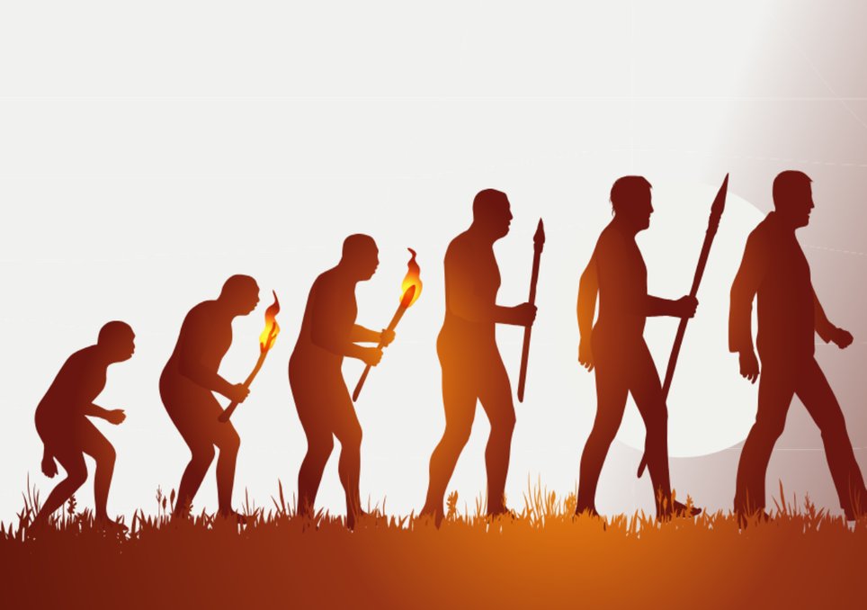 Fósseis na Etiópia revelam coexistência complexa de múltiplas espécies de hominídeos