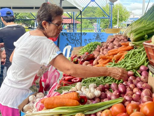 Mercados Campesinos en Montería: Un Puente Directo entre el Campo y la Ciudad