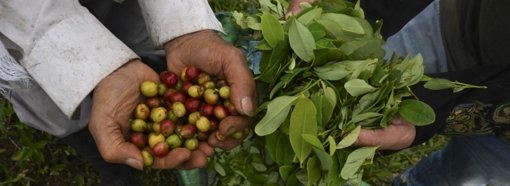 Trump revierte política arancelaria para aliviar el costo de vida en EE.
UU.