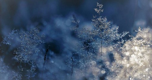 DGS emite alerta de saúde pública devido à descida abrupta das temperaturas