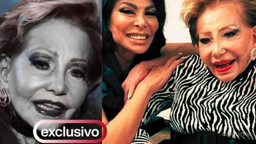 José Castelo Branco Enfrenta Dia Decisivo em Caso de Violência Doméstica