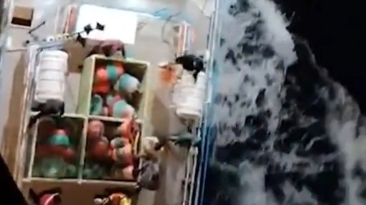 Ataque de orcas em Peniche resulta no afundamento de veleiro e resgate de cinco tripulantes