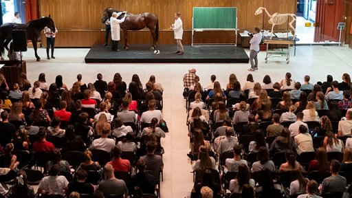 Reino Unido regressa ao programa Erasmus+ e negoceia participação no mercado elétrico da UE