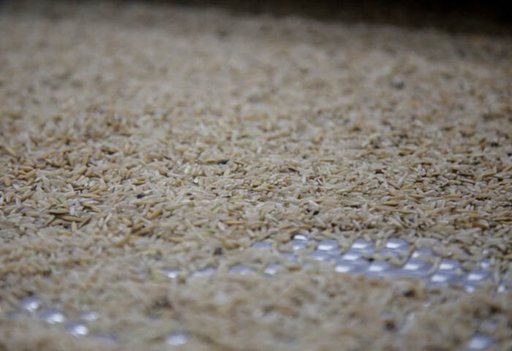 Autoridades autorizan acuerdo para fijar precio mínimo del arroz y estabilizar el sector