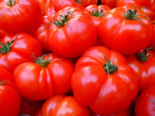 Investigadores criam tomate "inteligente" que muda de cor para sinalizar falta de nutrientes