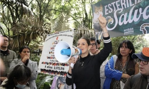 Esfuerzos de esterilización para perros y gatos enfrentan demoras legislativas y avances locales