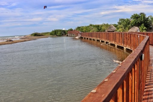 Foro Económico Mundial destaca a Barranquilla como modelo global de transformación ambiental