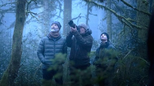 "Le Chant des forêts" : le nouveau documentaire immersif de Vincent Munier