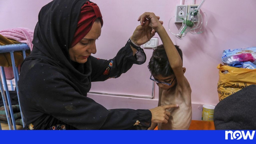 Crise Humanitária e Fome Atingem Níveis Críticos em Gaza