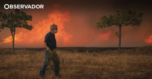 Sernancelhe Aprova Apoios para Limpeza de Áreas Ardidas e Retoma Económica