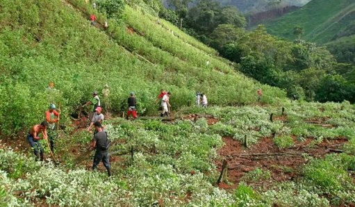EE.UU. descertifica a Colombia en la lucha antidrogas, generando riesgos económicos por más de US$2.000 millones