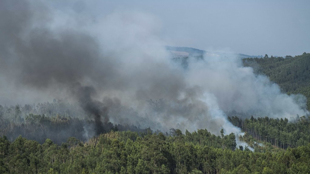 Incêndios Rurais Devastam o Centro e Norte de Portugal, Motivando Estado de Alerta e Ajuda Europeia