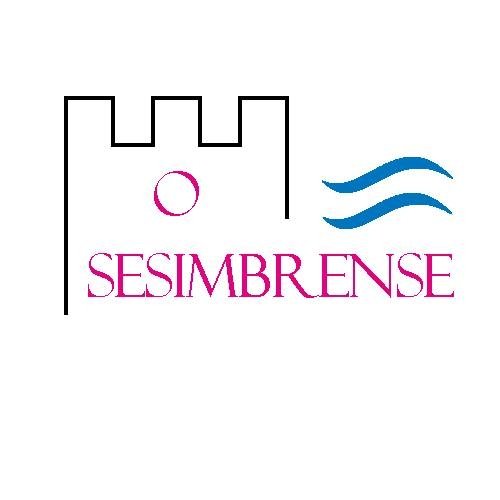 Source Logo
