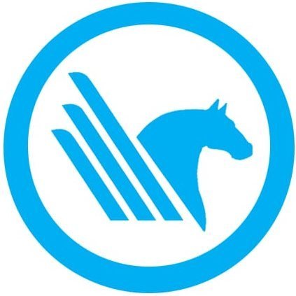 Source Logo