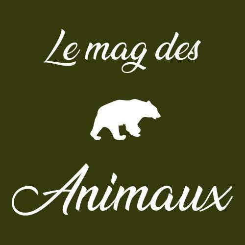 Le mag des Animaux