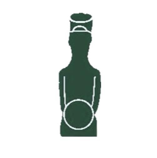 Source Logo