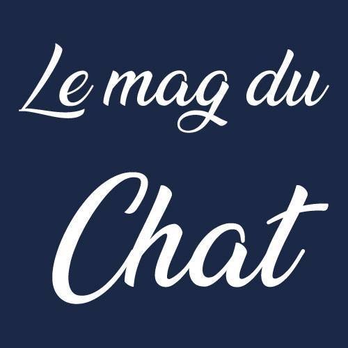 Le Mag du Chat