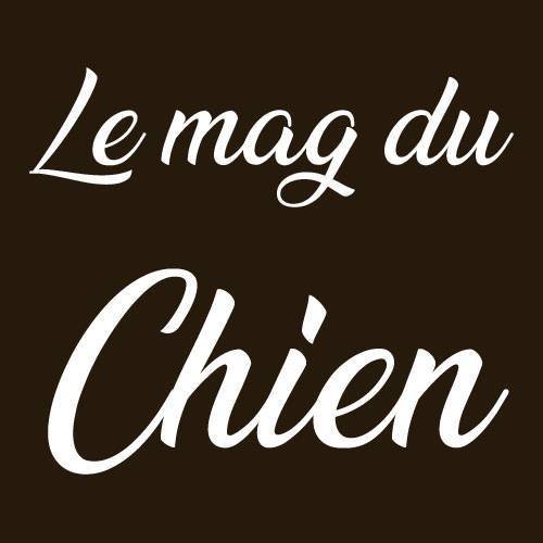 Le mag du Chien